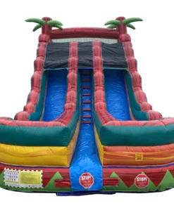 18' Dual Lane Slide