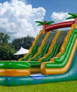 18ft Double Lane Palm Tree Water Slide