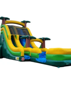 19' 2-Lane Slide