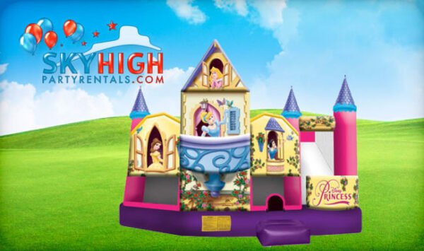 Disney Princess 5in1 w/ (Wet or Dry Slide)