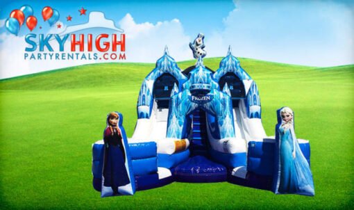 Frozen Double (Dry or Wet/Water Slide)