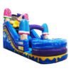Ice Cream Wet or Dry Slide