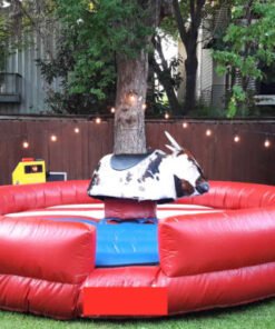 Mechanical Bull Rental