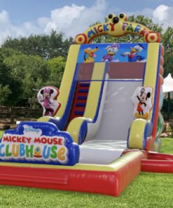 Mickey Mouse Slide (Dry/Wet) with Pool