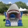 Shark Slip and Slide
