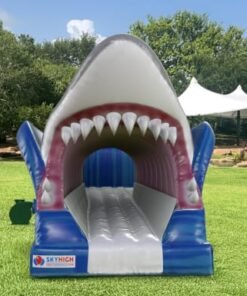 Shark Slip and Slide