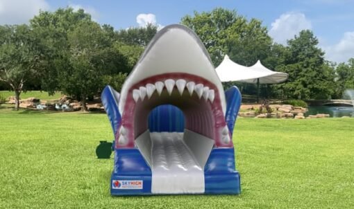 Shark Slip and Slide